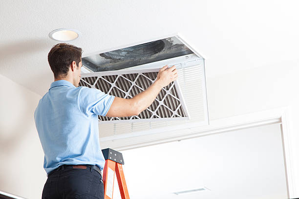 Best Best HVAC companies  in Collins, MS